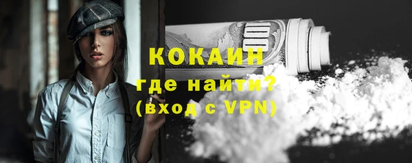 индика Майский