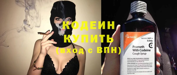индика Майский