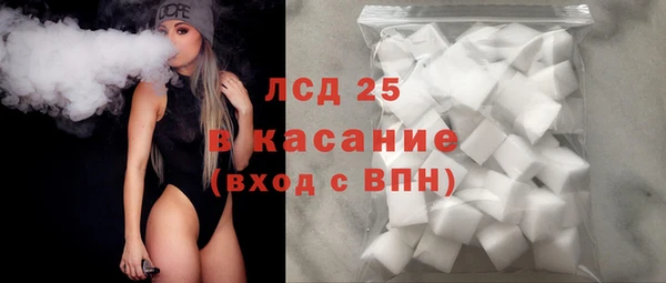 индика Майский