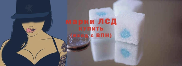 стаф Россошь