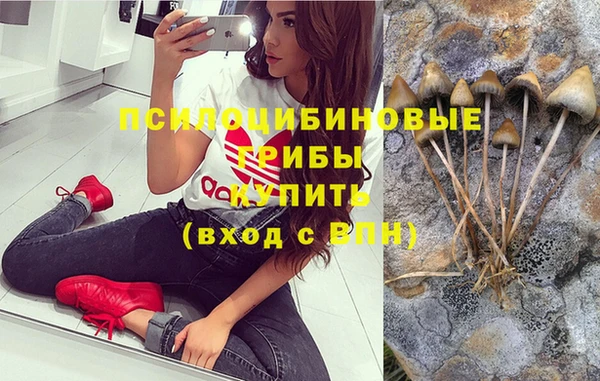 крисы Красноперекопск