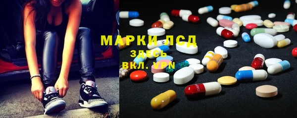 индика Майский