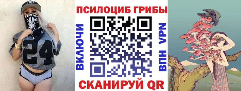 даркнет сайт  Хилок  Псилоцибиновые грибы ЛСД 